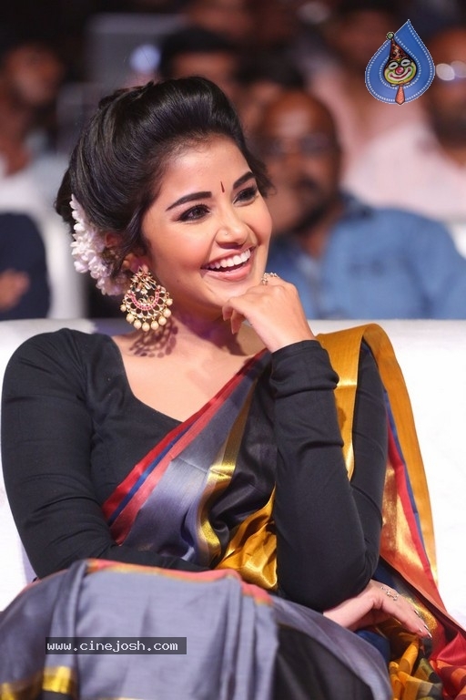 Anupama Parameswaran Tej I Love You Audio Launch - 6 / 41 photos