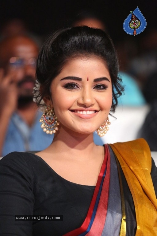 Anupama Parameswaran Tej I Love You Audio Launch - 8 / 41 photos