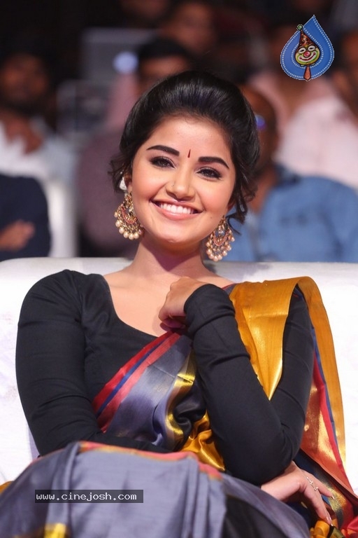 Anupama Parameswaran Tej I Love You Audio Launch - 10 / 41 photos