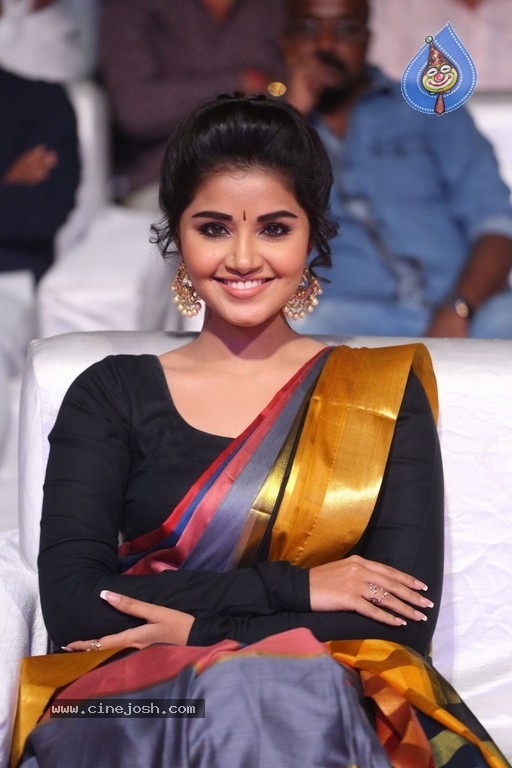 Anupama Parameswaran Tej I Love You Audio Launch - 14 / 41 photos