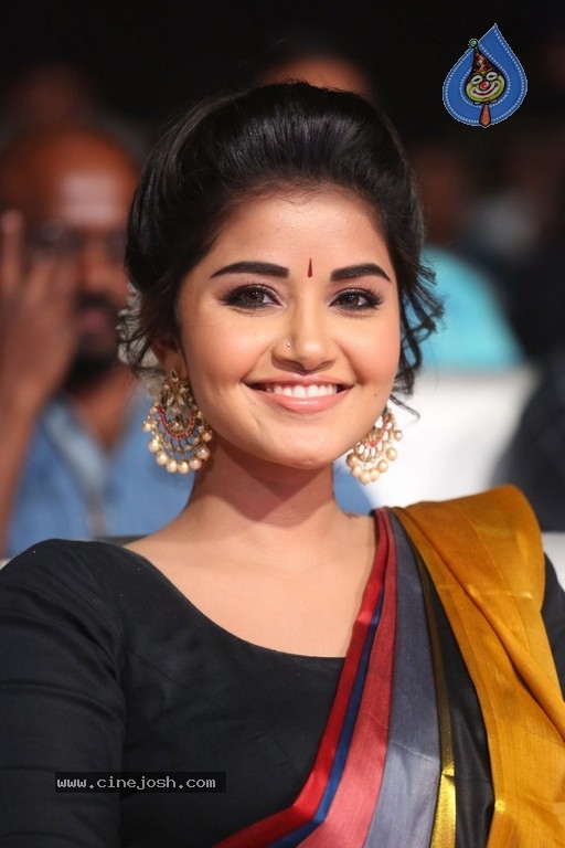 Anupama Parameswaran Tej I Love You Audio Launch - 21 / 41 photos