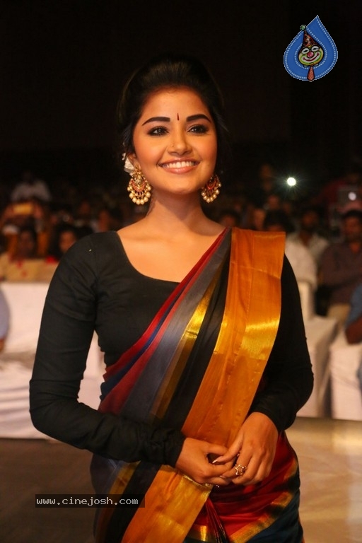 Anupama Parameswaran Tej I Love You Audio Launch - 26 / 41 photos