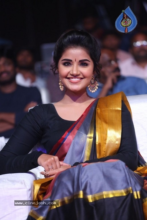 Anupama Parameswaran Tej I Love You Audio Launch - 28 / 41 photos