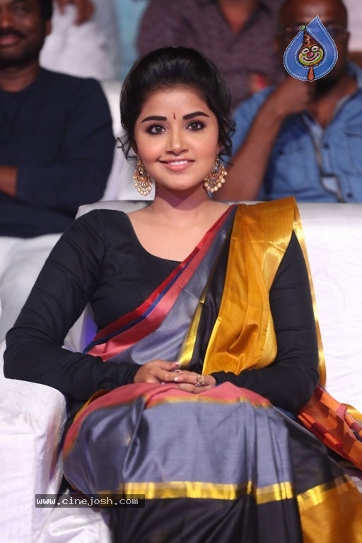 Anupama Parameswaran Tej I Love You Audio Launch - 38 / 41 photos
