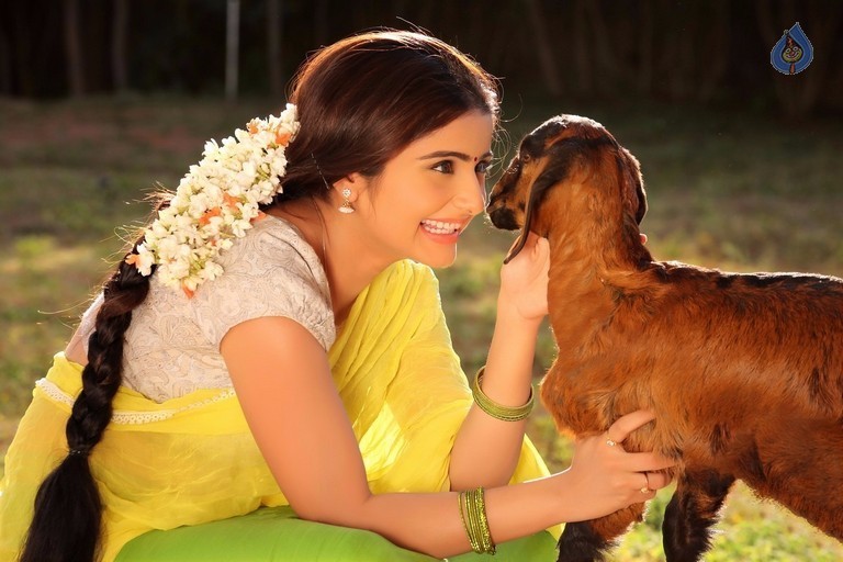 Aqsa Bhatt Photo Shoot - 22 / 31 photos