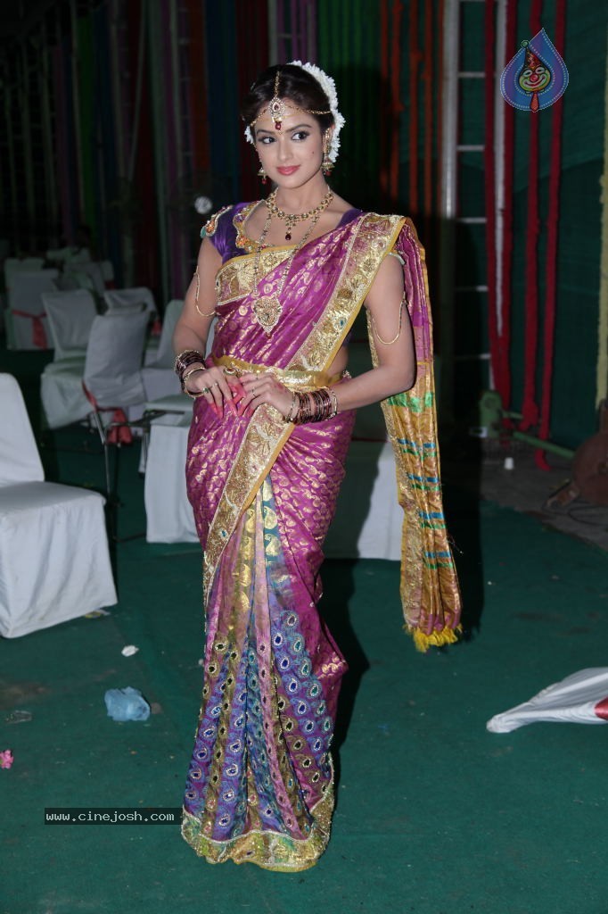 Asmitha Sood Cute Stills - 18 / 52 photos