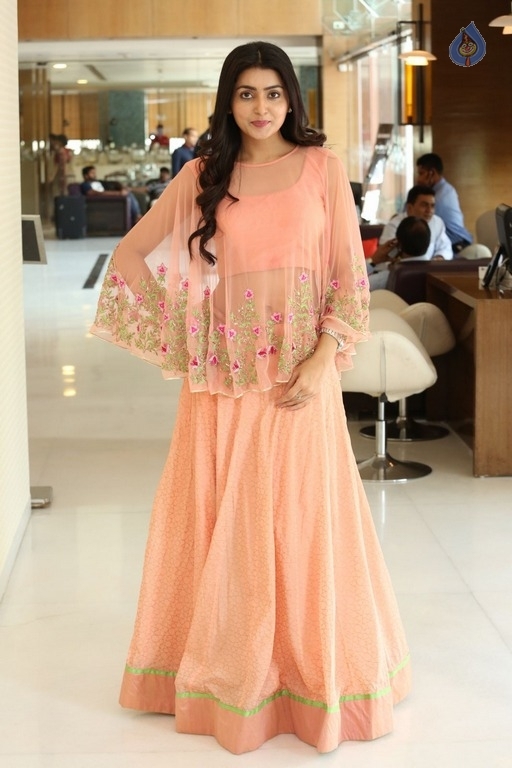 Avantika Mishra Latest Photos - 38 / 41 photos