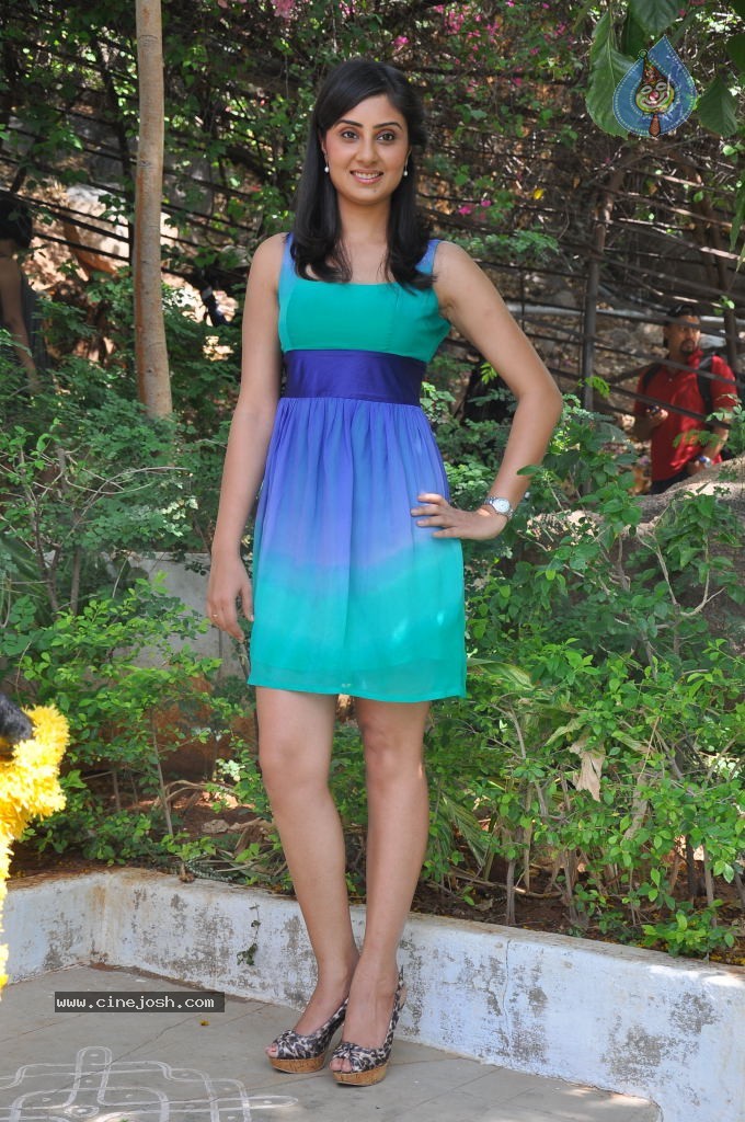 Bhanu Sri Mehra Latest Stillls - 16 / 41 photos