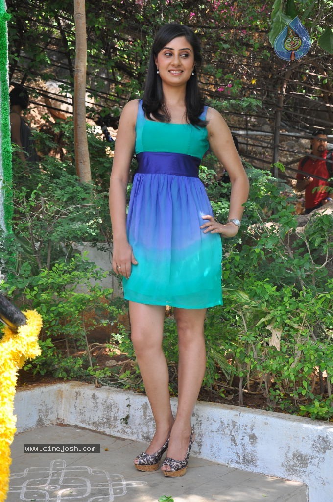 Bhanu Sri Mehra Latest Stillls - 21 / 41 photos