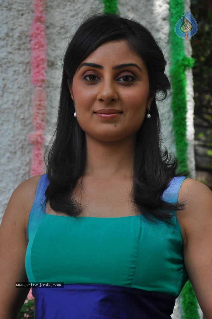 Bhanu Sri Mehra Latest Stillls - 27 / 41 photos