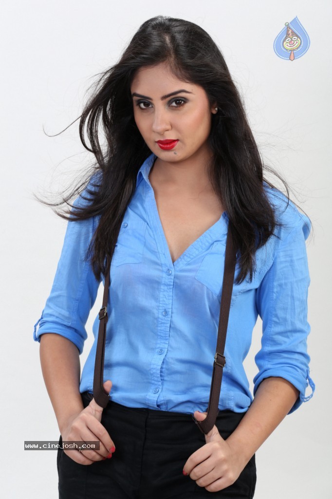 Bhanu Sri Mehra New Gallery - 76 / 117 photos