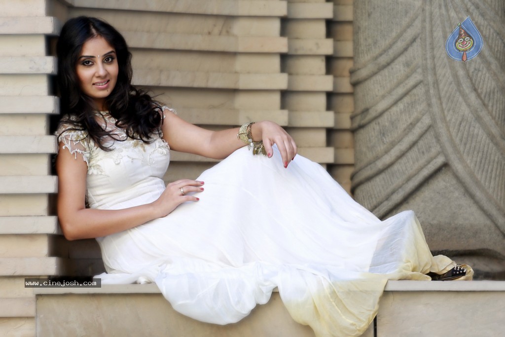 Bhanu Sri Mehra New Photos - 16 / 68 photos