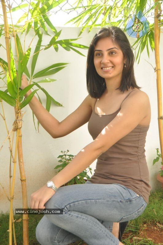 Bhanu Sri Mehra New Stills - 86 / 153 photos