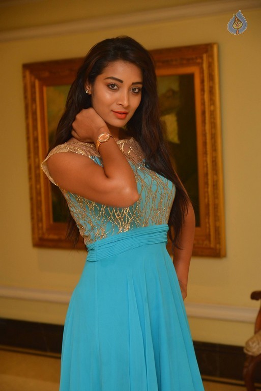 Bhanu Sri Stills - 23 / 30 photos