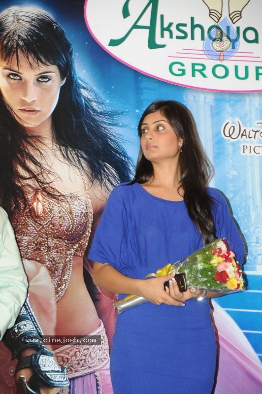 Bhanusri Mehra - Prince of Persia Movie Press Meet - 28 / 69 photos