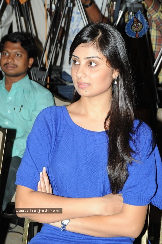 Bhanusri Mehra - Prince of Persia Movie Press Meet - 32 / 69 photos