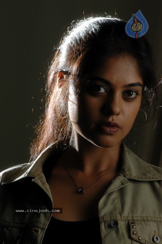Bindu Madhavi - Prati Roju Movie - 20 / 57 photos