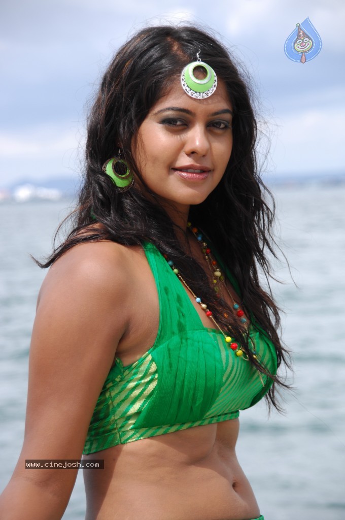 Bindu Madhavi Hot Pics - Photo 69 of 69