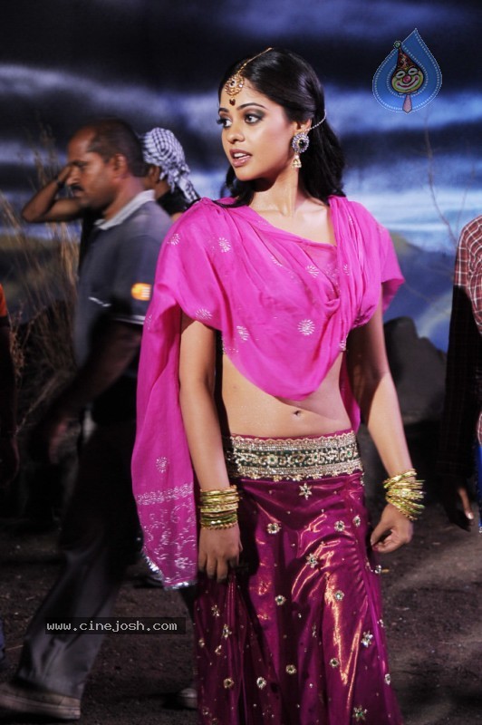 Bindu Madhavi New Photo Stills - 26 / 34 photos