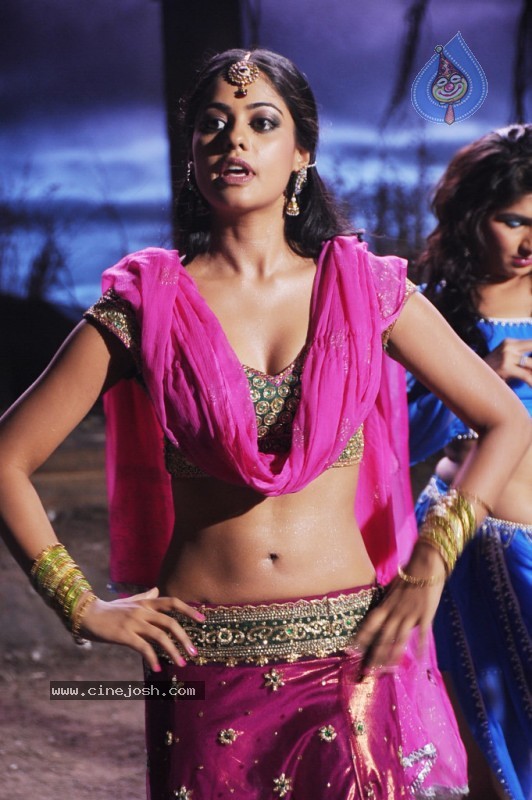 Bindu Madhavi New Photo Stills - 29 / 34 photos