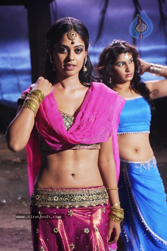 Bindu Madhavi New Photo Stills - 33 / 34 photos