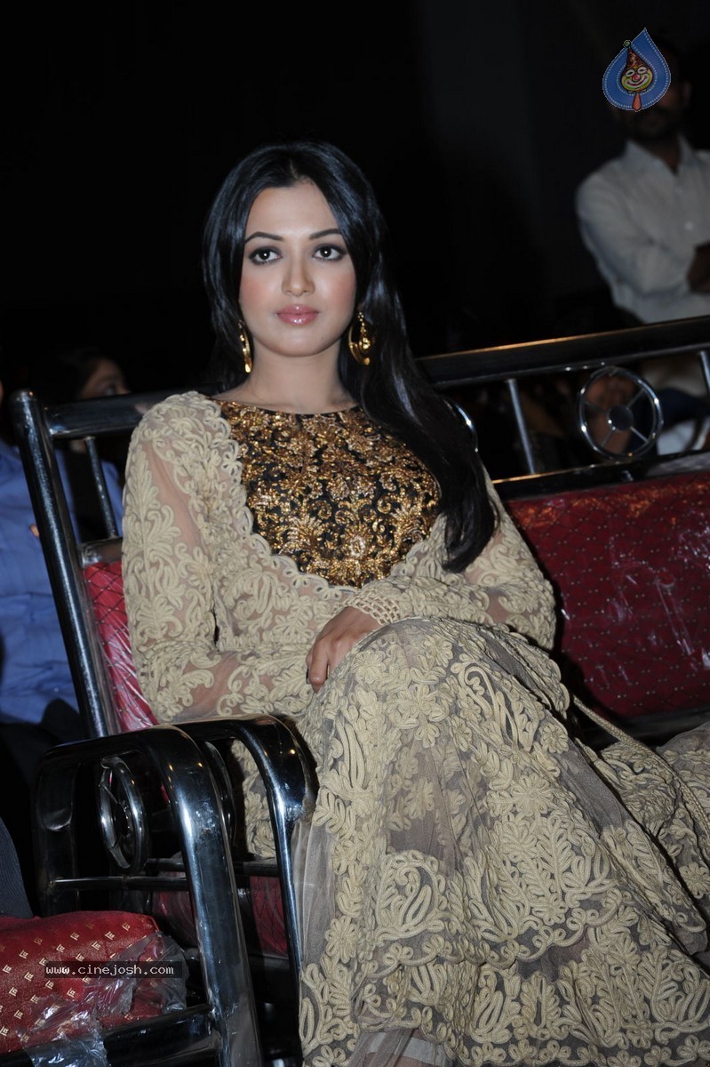 Catherine Tresa at Errabassu Audio Launch - 16 / 73 photos