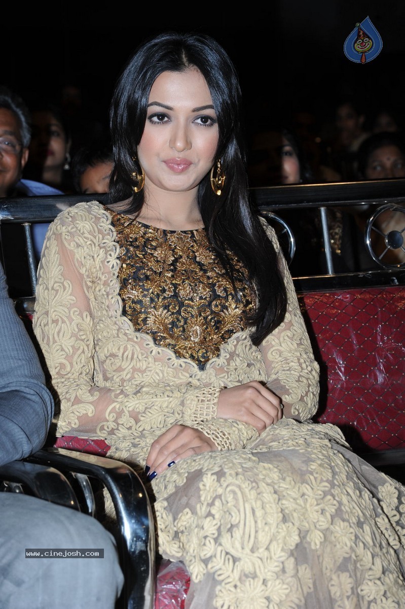 Catherine Tresa at Errabassu Audio Launch - 23 / 73 photos