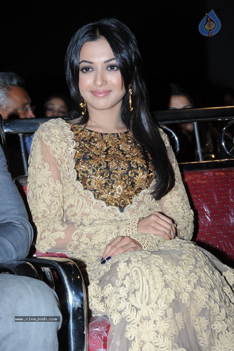 Catherine Tresa at Errabassu Audio Launch - 25 / 73 photos