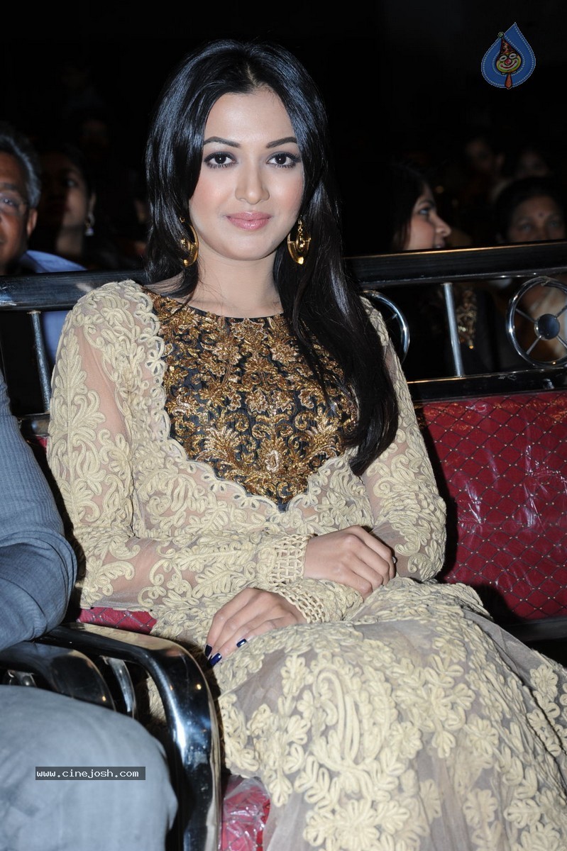 Catherine Tresa at Errabassu Audio Launch - 27 / 73 photos