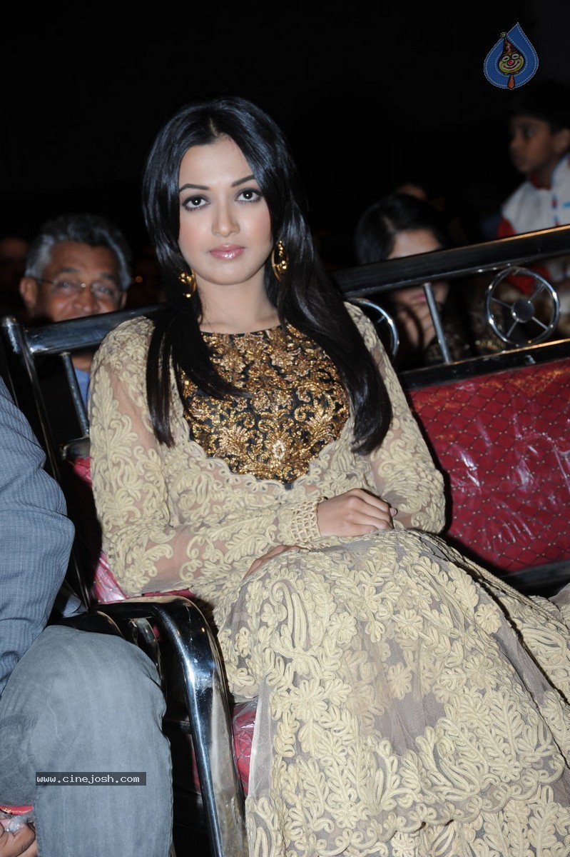 Catherine Tresa at Errabassu Audio Launch - 41 / 73 photos