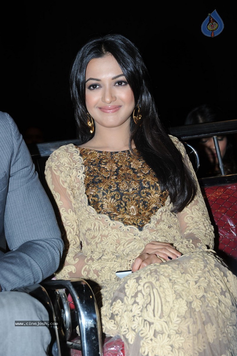 Catherine Tresa at Errabassu Audio Launch - 44 / 73 photos