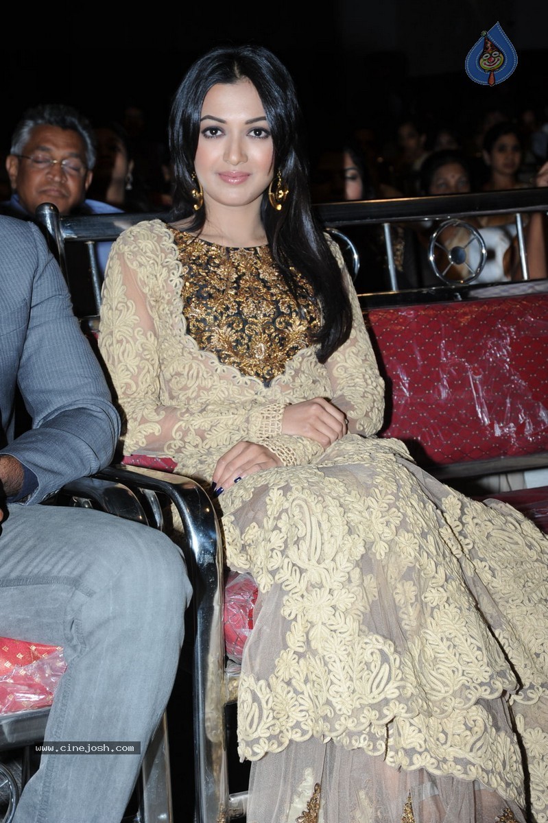 Catherine Tresa at Errabassu Audio Launch - 48 / 73 photos