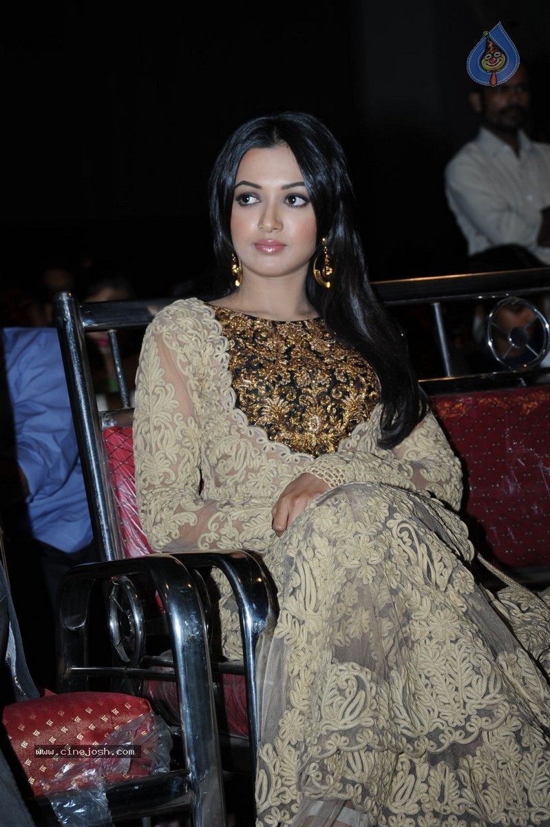 Catherine Tresa at Errabassu Audio Launch - 56 / 73 photos
