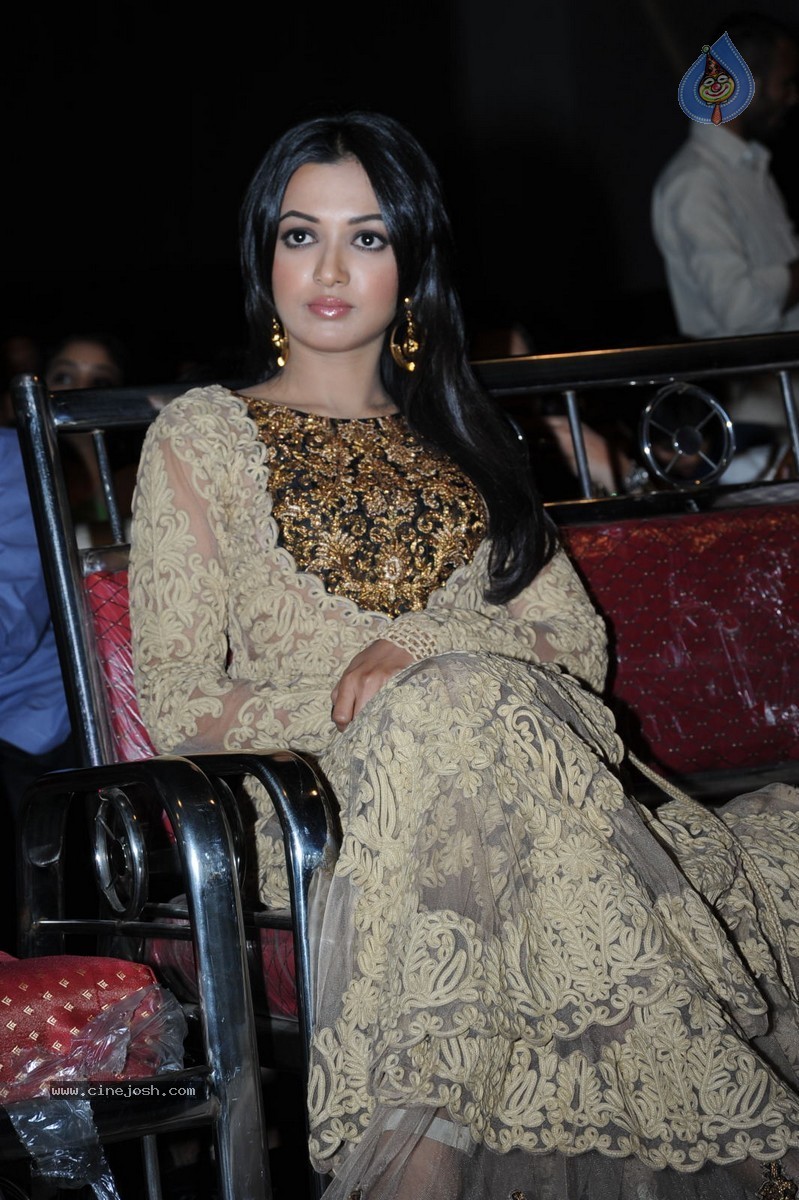 Catherine Tresa at Errabassu Audio Launch - 57 / 73 photos