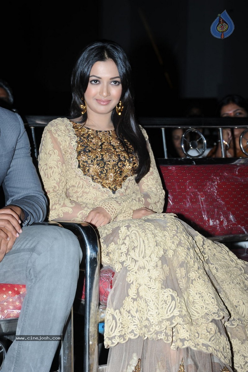 Catherine Tresa at Errabassu Audio Launch - 62 / 73 photos