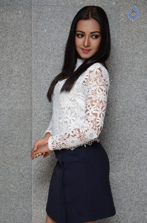 Catherine Tresa at Sarrainodu SM - 36 / 41 photos