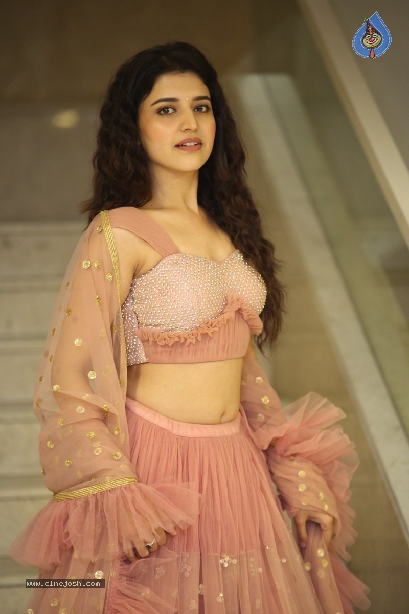 Chitra Shukla Latest Stills - 4 / 18 photos