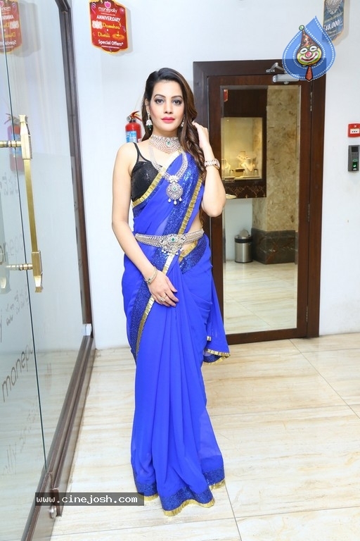 Deeksha Panth Photos - 20 / 21 photos