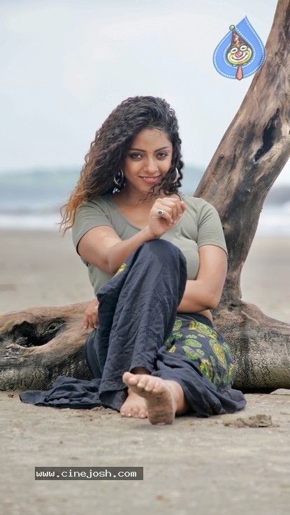 Deviyani Sharma PhotoShoot Set 01 - 32 / 32 photos