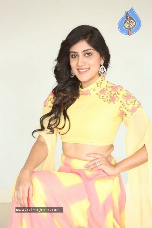 Dhanya Bala Krishna Photos - 19 / 21 photos