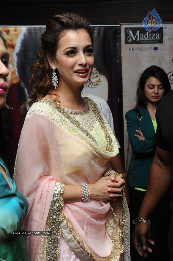 Dia Mirza New Gallery - 20 / 40 photos