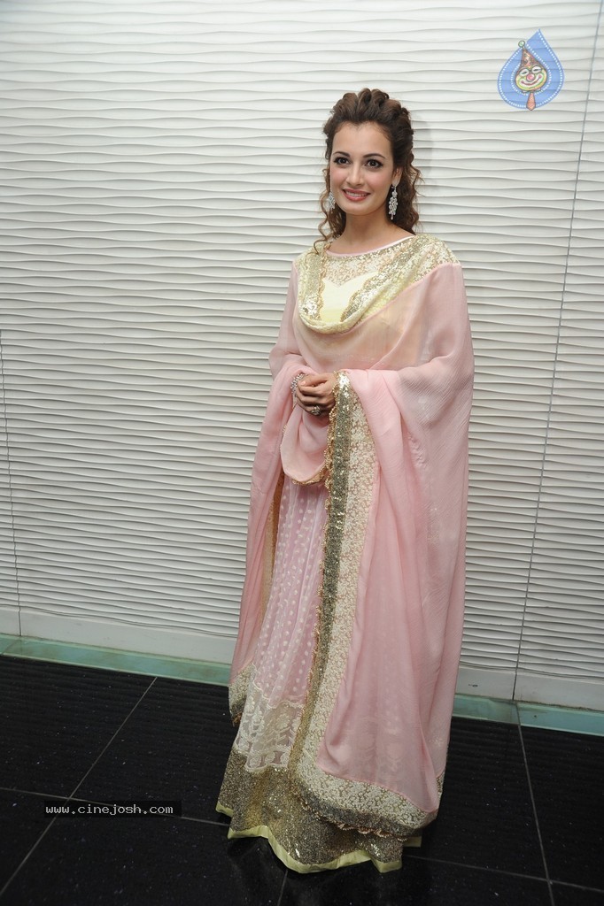 Dia Mirza New Gallery - 23 / 40 photos