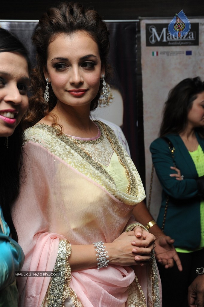 Dia Mirza New Gallery - 39 / 40 photos