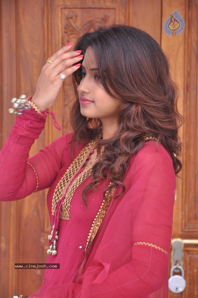 Dimple Chopade New Photos - 69 / 88 photos