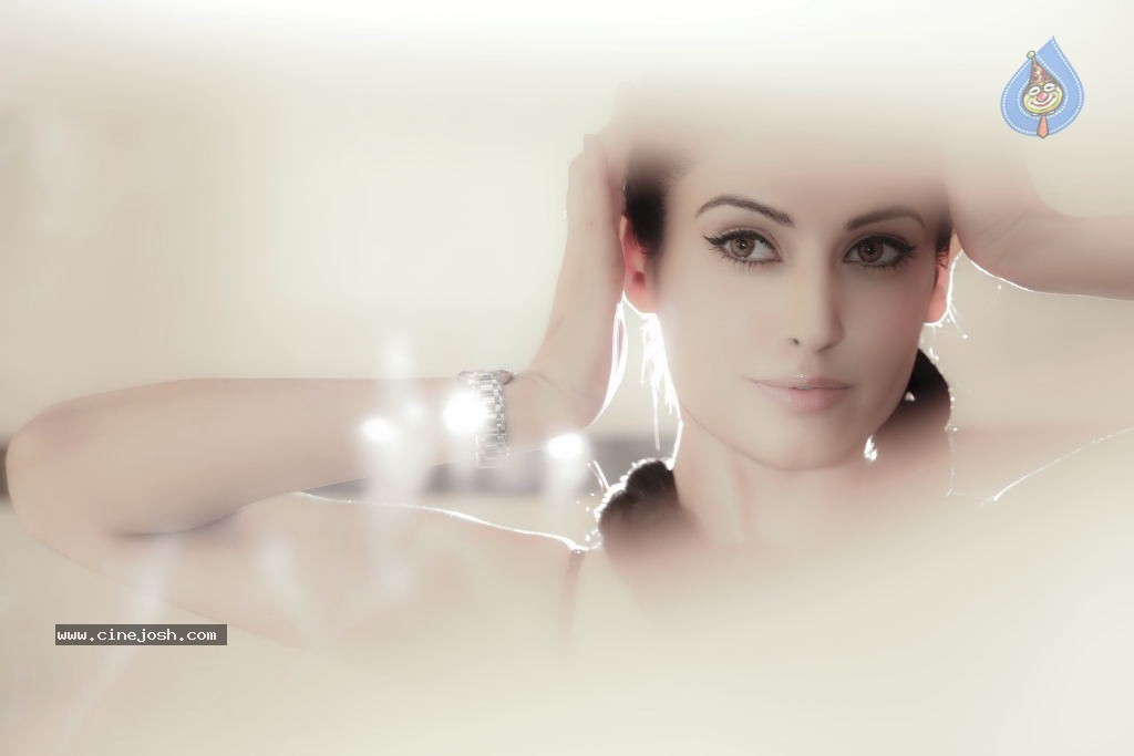 Disha Pandey Portfolio - 17 / 28 photos