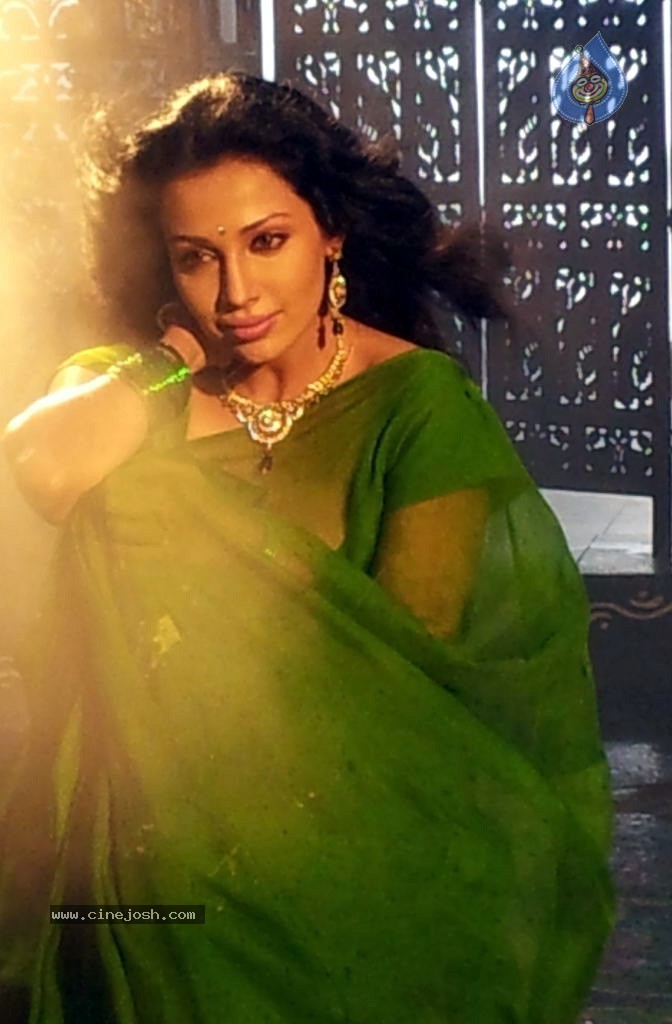 Flora Saini Hot Stills - 2 / 13 photos
