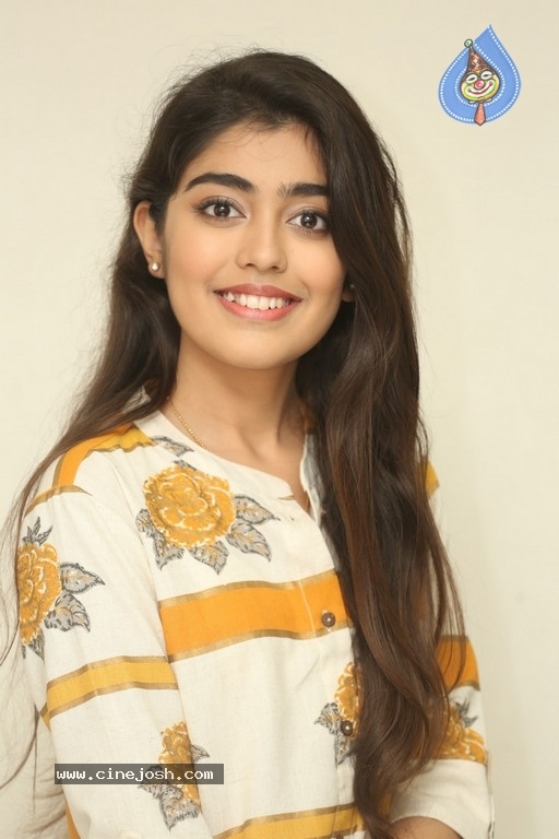 Gargeyi Yellapragada Interview Photos - 4 / 16 photos