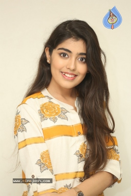 Gargeyi Yellapragada Interview Photos - 5 / 16 photos