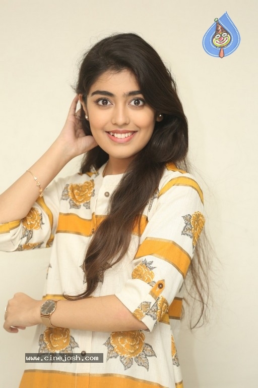 Gargeyi Yellapragada Interview Photos - 14 / 16 photos