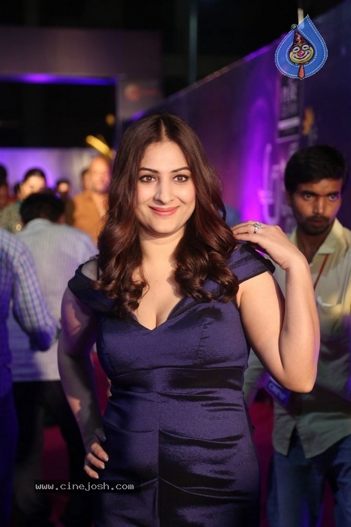 Gowri Munjal at Zee Apsara Awards - 28 / 32 photos
